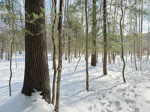 4th image of 0 Smith Cemetery Rd
