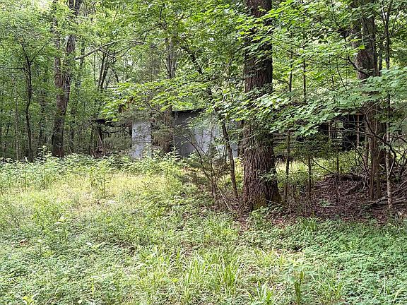 2nd image of Walter Hill Rd