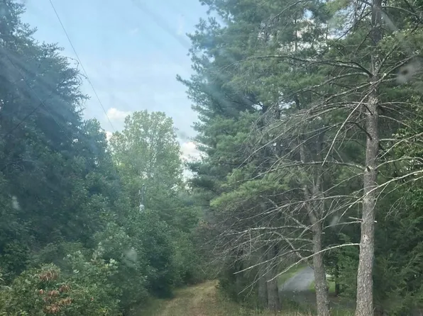 Tonawanda Lake Rd, Spout Spring, VA 24593