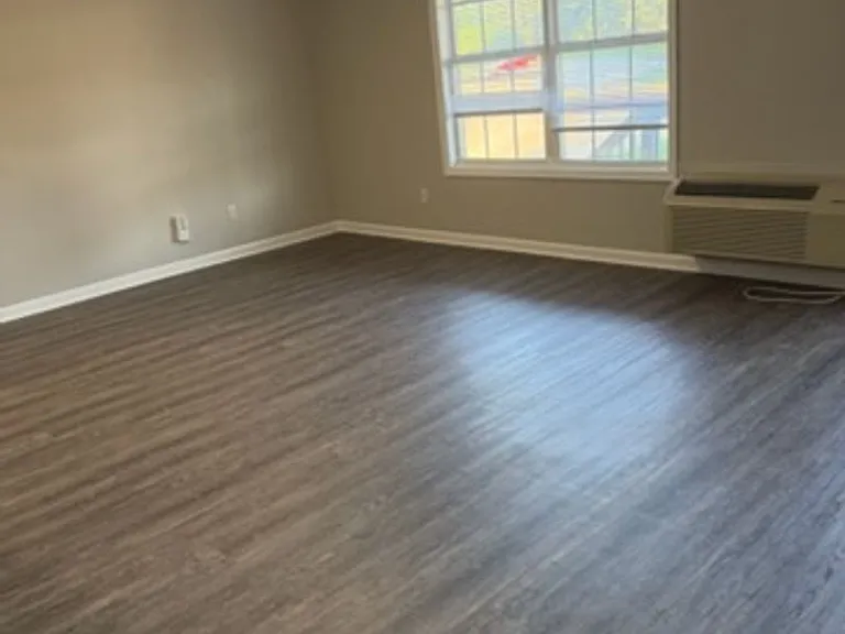 239 McDaniel Dr — Photo 2