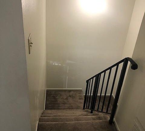 4th image of 3133 Triumph Ln APT 4