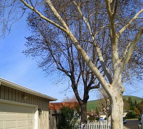 Extra Lg 2-Car Garage w/Side Yard Access