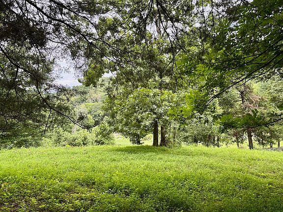 5th image of 564 Dry Branch Rd Lot 3
