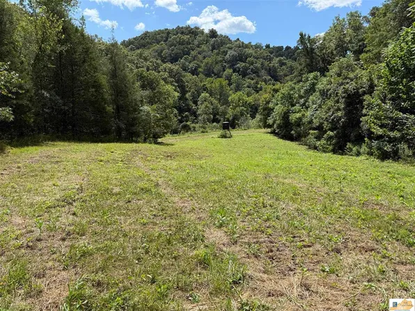 Albany Rd, Burkesville, KY 42717