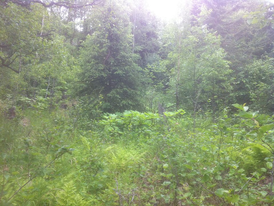 2nd image of 18339 Jamie Dr
