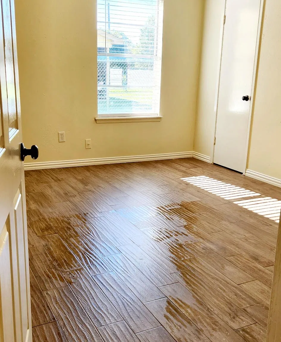 2 bed, 1000 sqft, $1,600 — Photo 3