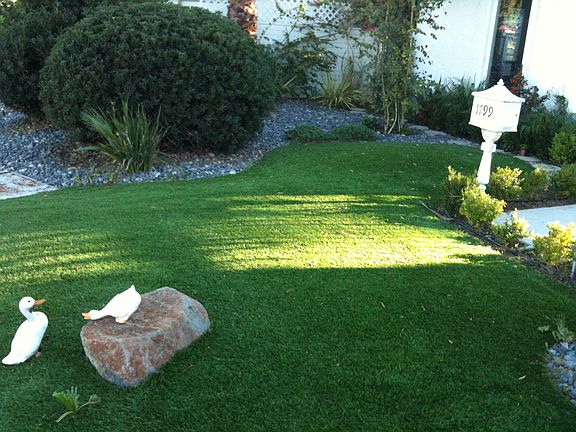 Front Yard 