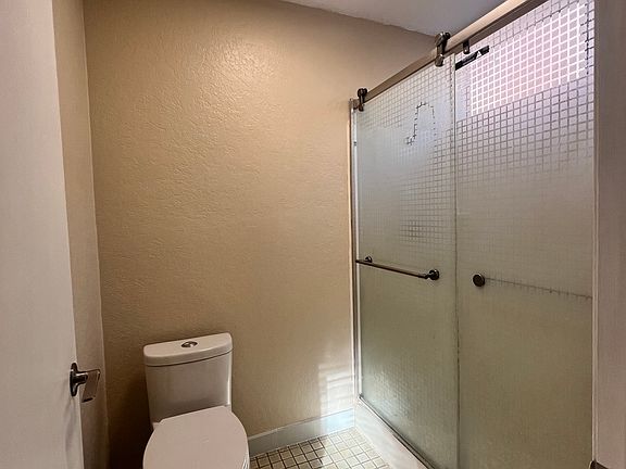 Shower in master bath and toilet