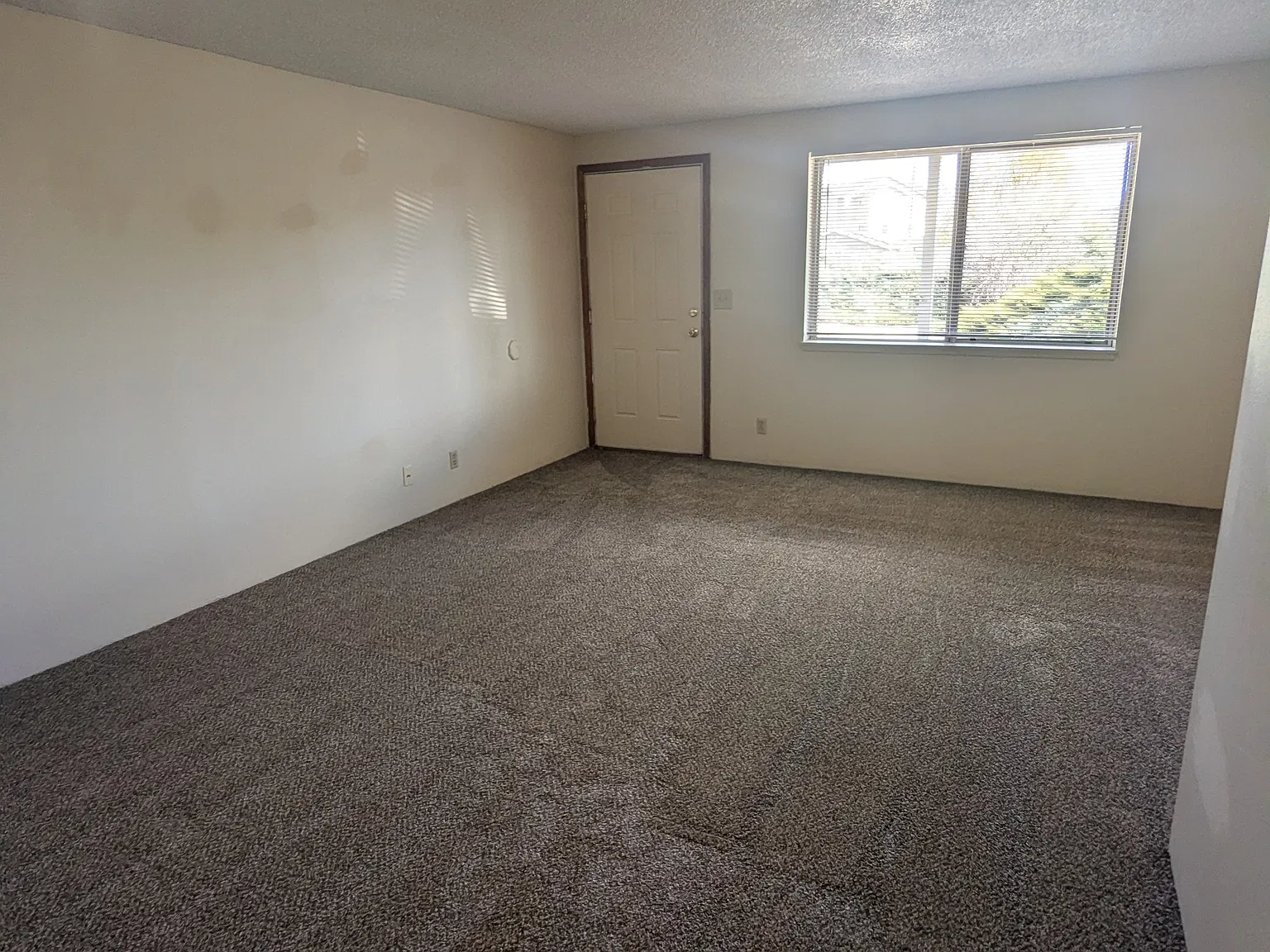136 CS - 2903 Southwest Meadow Lane - 4 — Photo 4
