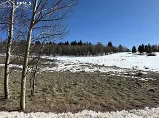 42 Bear View Ln, Guffey, CO 80820