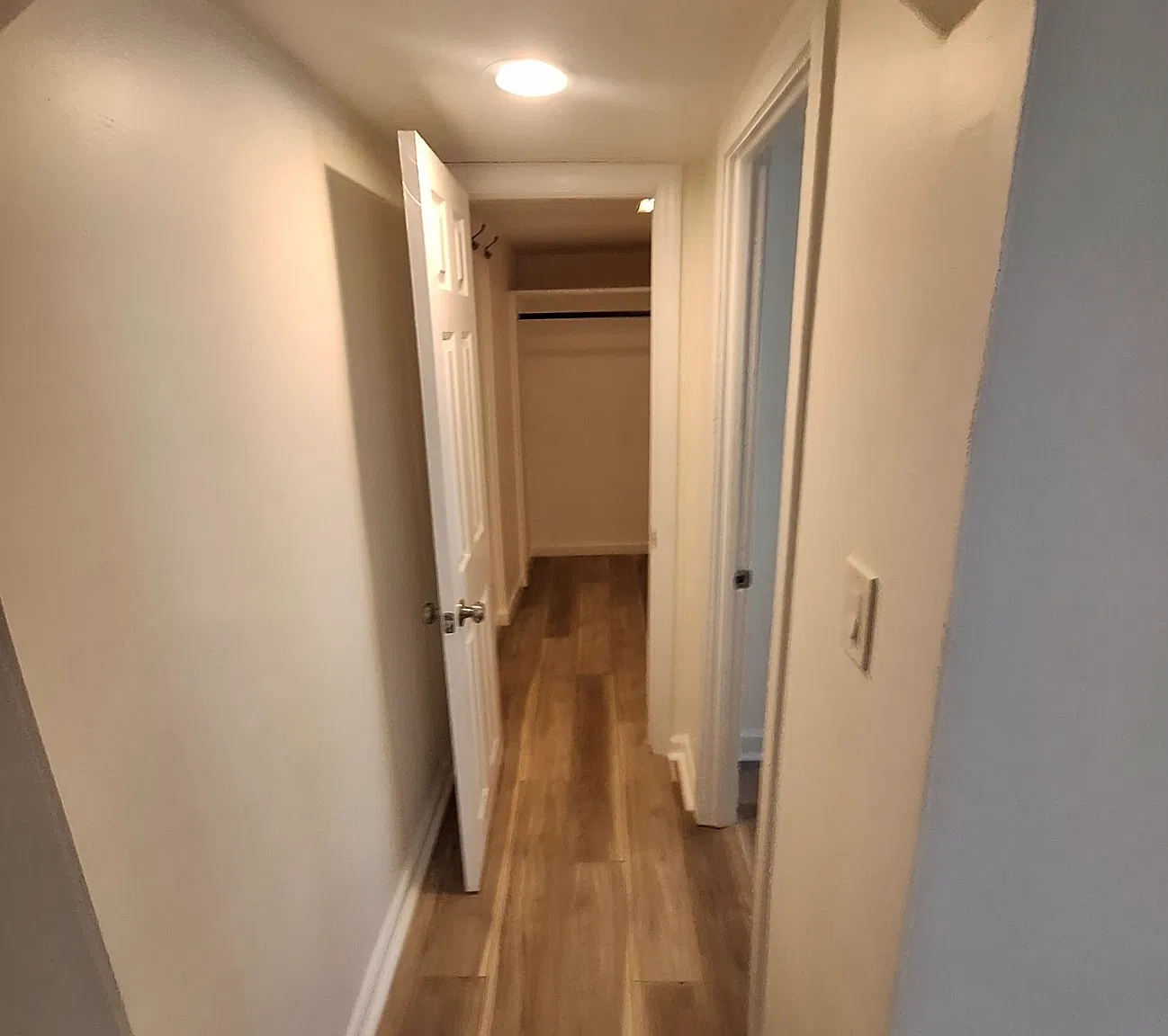 2 bed, 600 sqft, $1,365 — Photo 3