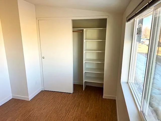 master closet shelving