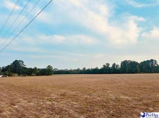 Highway 9, Nichols, SC 29581