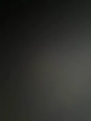 Rented by Minotaur Management | media 1