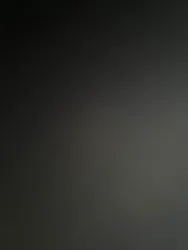 Rented by Minotaur Management