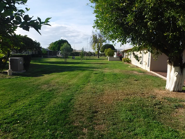 Looking to Grassy Belt in back of condos.