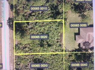 627 Locust Ave S, Lehigh Acres, FL 33974