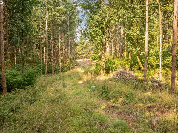 11975 SE Zion Hill Dr, Damascus, OR 97089