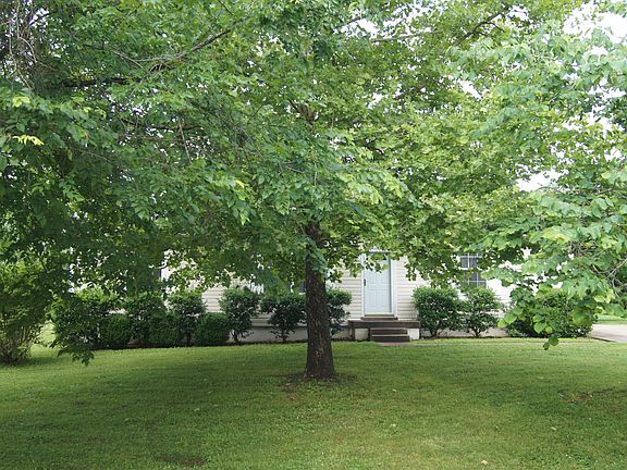 Shade trees offer privacy