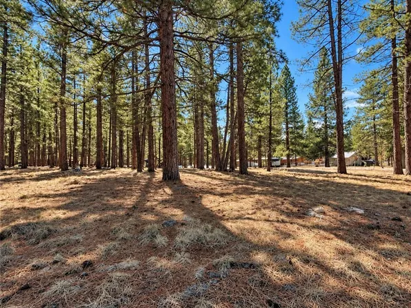 687650 Maple Way Lot 20, Susanville, CA 96130