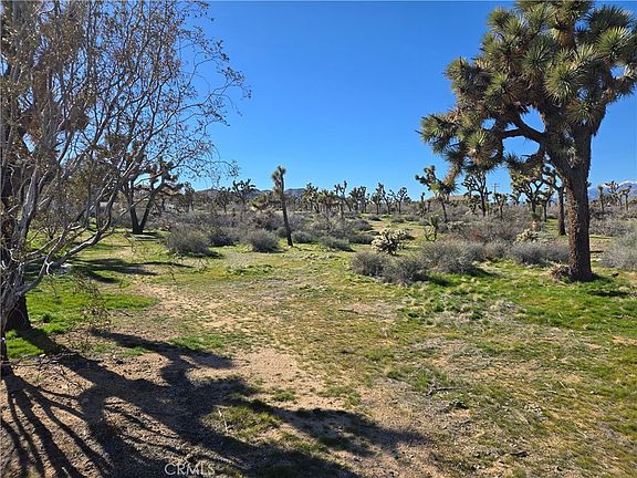 5th image of 7484 Palm Ave Lot 6