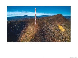 LOT 19 Nix Mountain Rd, Sapphire, NC 28774