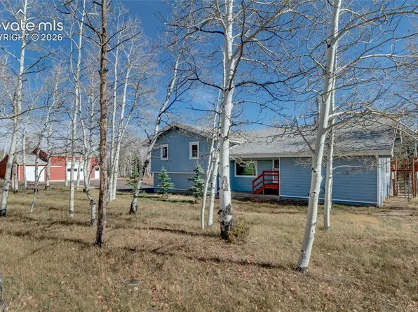 66 Broken Wheel Dr, Divide, CO 80814