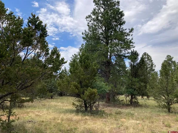 Lot 422 (TBD) South Badger Trail, Ridgway, CO 81432