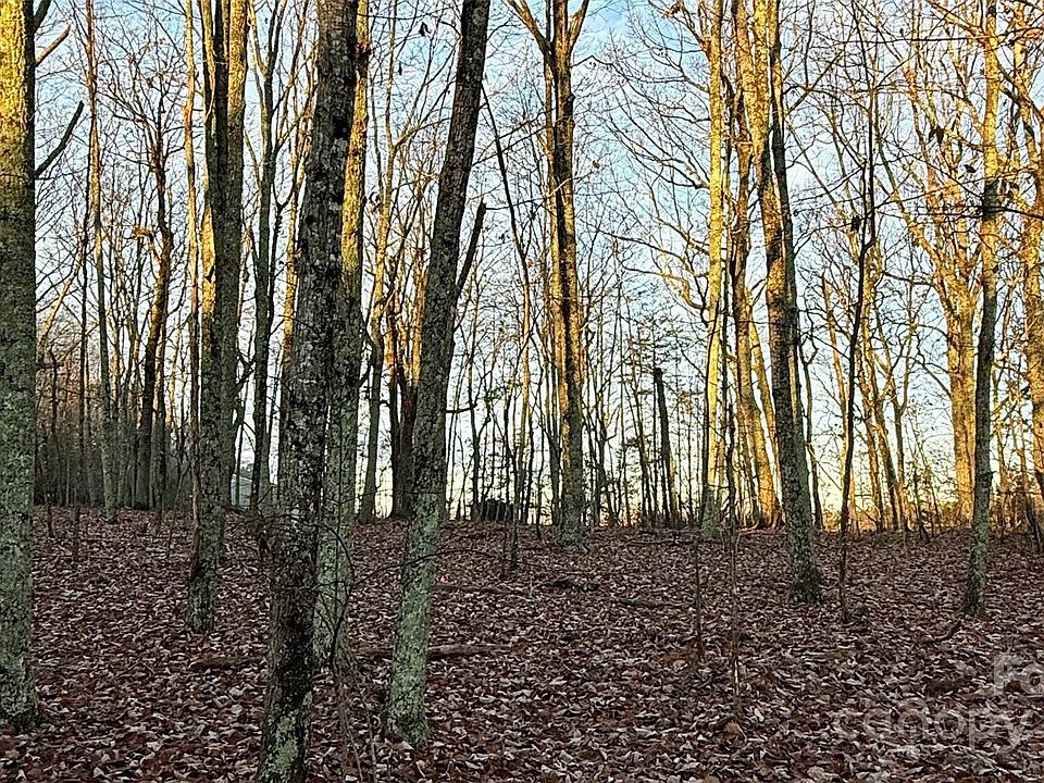 2nd image of 1615 Fox Dairy Rd