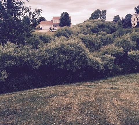 5th image of 11452 Barkton Dr