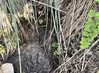 8101 Chantily Cv, Leander, TX 78645