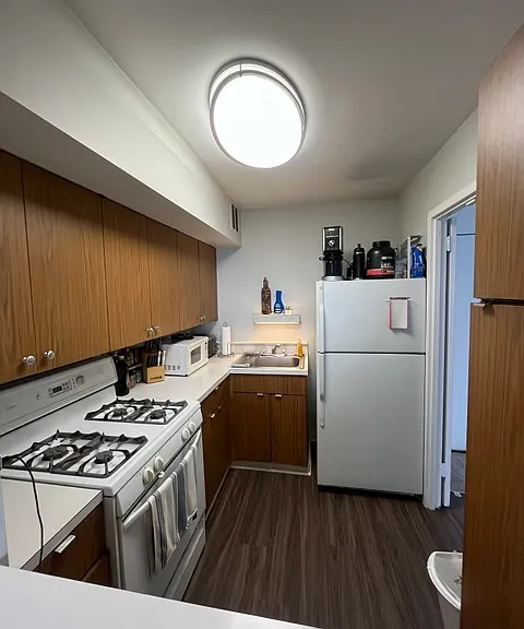 2800 N Lakeshore Dr #3511 — Photo 10