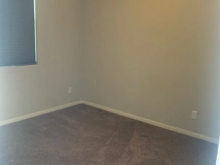 2676 Chinaberry Hill St — Photo 13