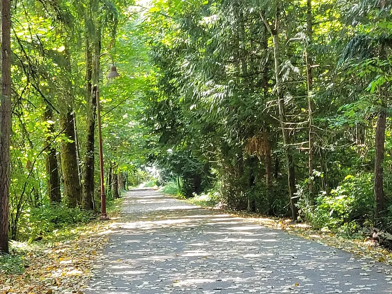 A greenbelt separates B Building from the Rainier Trail. It's a 2/5 mile distance on the Rainier Trail to the Issaquah Community Center and the Julius Boehm Pool; and a 1/3 mile walk the opposite direction to access Tiger Mtn. hiking and walking trails.