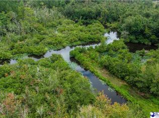 2357 Turkey Run Ln, Darlington, SC 29540