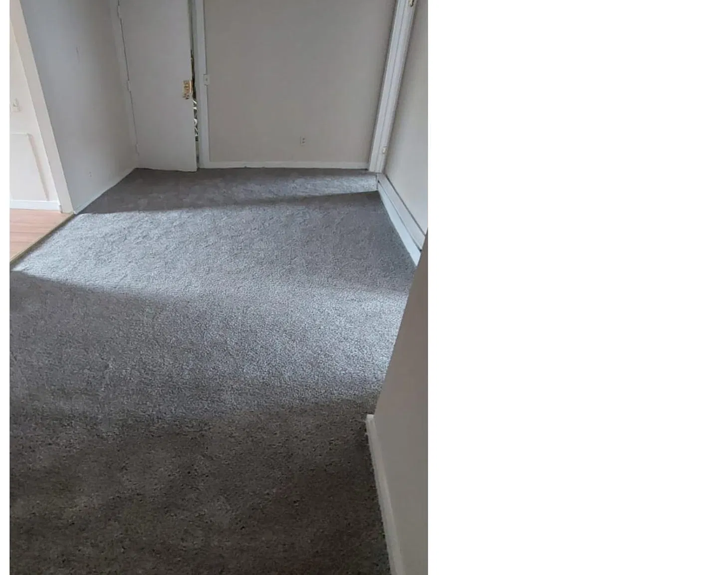 1 bed, $750 — Photo 2