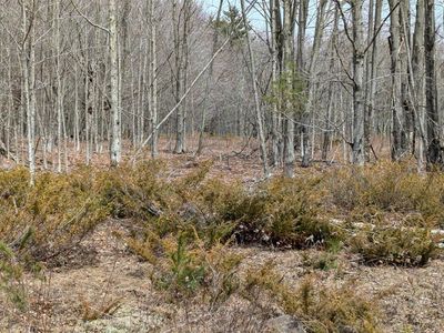75 Windy Lane, Jewett, NY, 12444