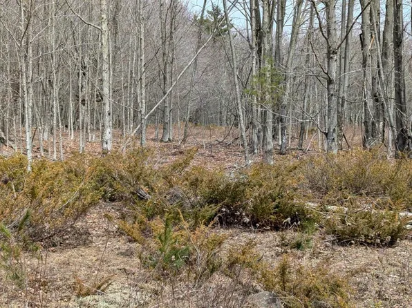 75 Windy Lane, Jewett, NY 12444