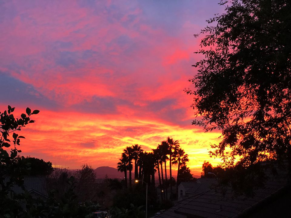 View from back yard