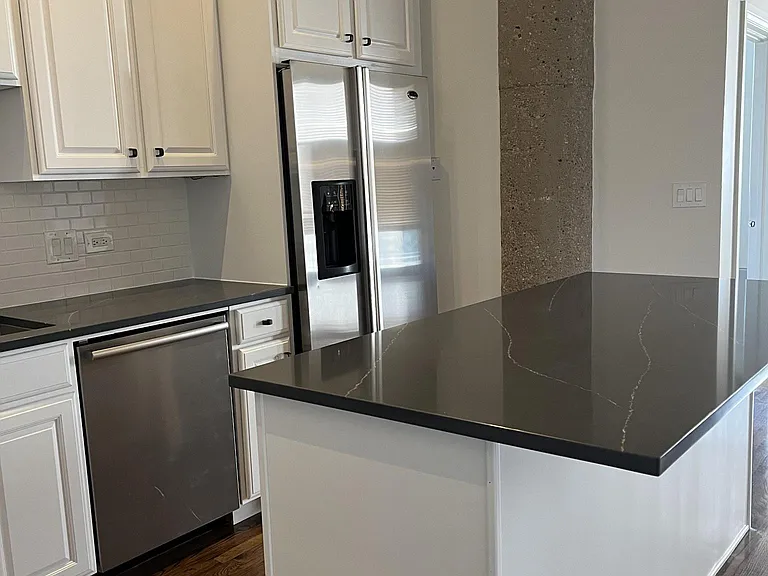 758 N Larrabee St #816 — Photo 13
