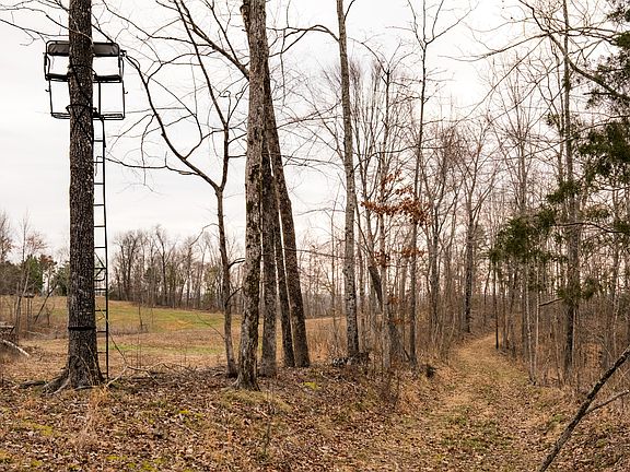 41st image of this home