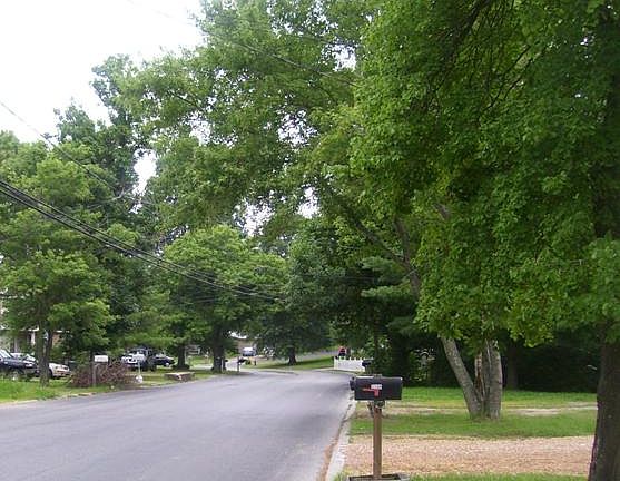 3rd image of 3146 E Lake Dr
