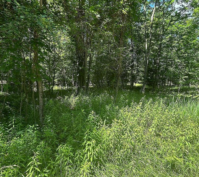 1st image of S Point Lookout Rd Lot 57