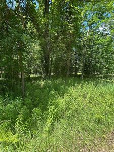 S Point Lookout Rd Lot 57, Au Gres, MI, 48703