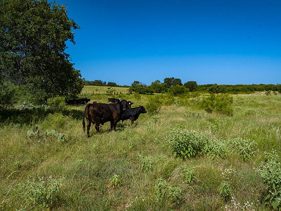 5th image of 9978 hay spring