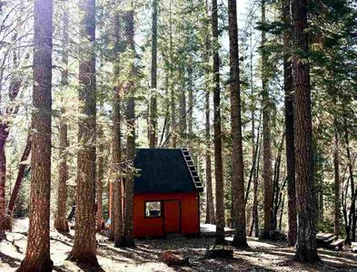 3-E-27 & 30 Red Cir, McCloud, CA, 96057