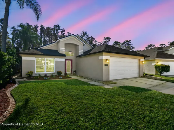 29228 Birds Eye Dr, Zephyrhills, FL 33543