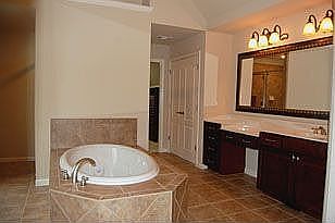 Fabulous master bath
