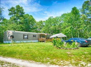 325 Sandspur Rd, Pelion, SC 29123