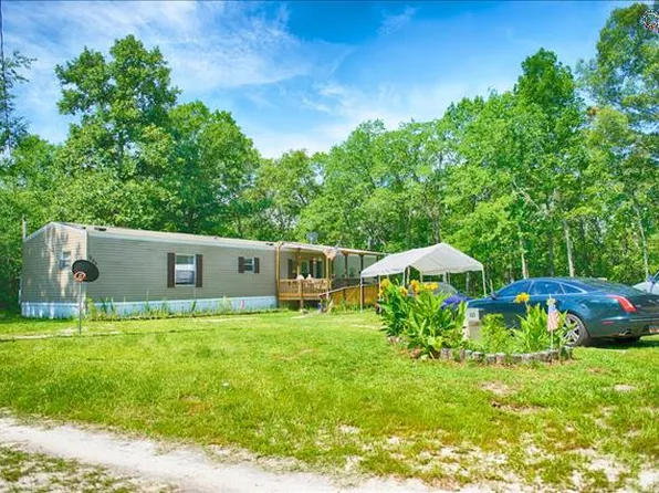 325 Sandspur Rd, Pelion, SC 29123